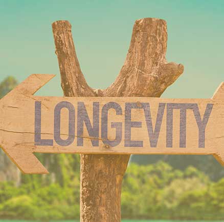 Longevity risk in retirement means the risk of running out of money